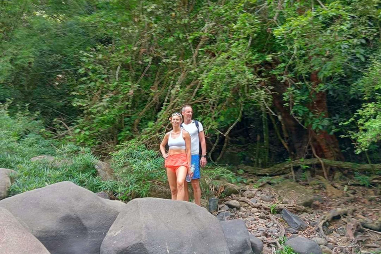 Khao Sok: Día de senderismo privado, cena en la selva y safari nocturno