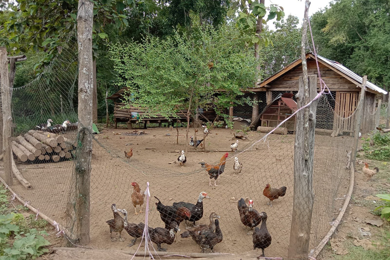 Luang Prabang: biologische boerderijervaring en wandeling naar Kuang siOchtendmarkt, veganistisch eten op de boerderij en wandelen naar Kuang Si