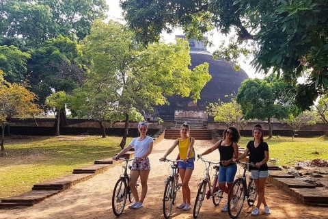 Geführte Polonnaruwa Altstadttour von Kandy ausPolonnaruwa antike Stadt Geführte Tour von Kandy