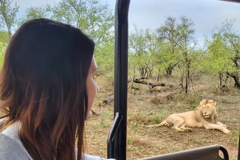 Safári com tudo incluído de nível médio em Kruger e Panorama saindo de Joanesburgo