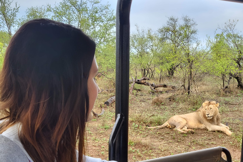 Budget Kruger &amp; Panorama meerdaagse tour vanuit Johannesburg5-daagse budgetreis naar Kruger &amp; Panorama