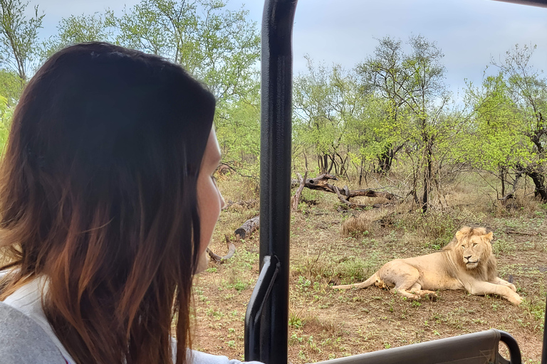 Budget Kruger &amp; Panorama meerdaagse tour vanuit Johannesburg5-daagse budgetreis naar Kruger &amp; Panorama