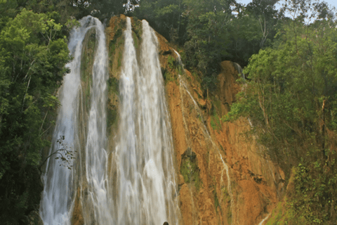 Punta Cana: Tour Samana All Included Cascada Limon whales