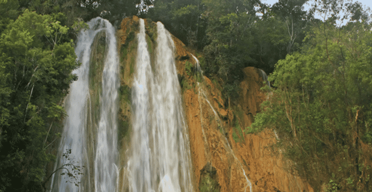 Punta Cana Tour Samana Whales Cascada el limong Hotel Pickup | GetYourGuide