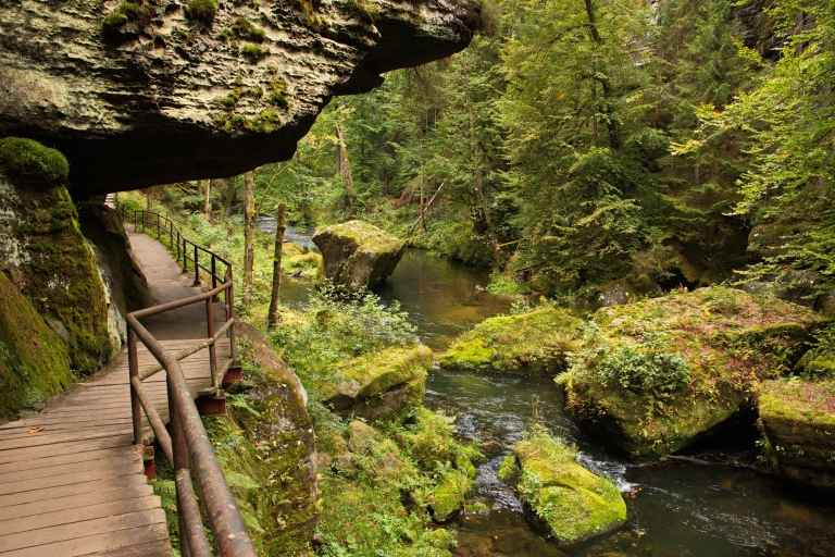 Visite privée du parc national de la Suisse tchéco-saxonne