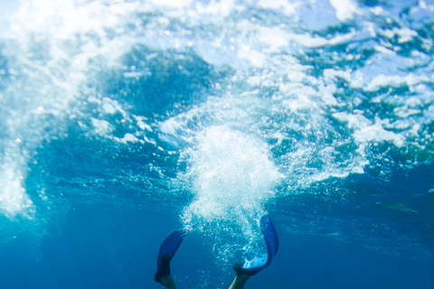 Nice: Snorkeling trip by boat, Mala Grotto, Villefranche harbor