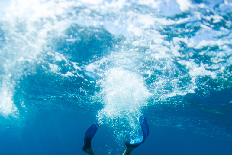 Nice: Snorkeling trip by boat, Mala Grotto, Villefranche harbor