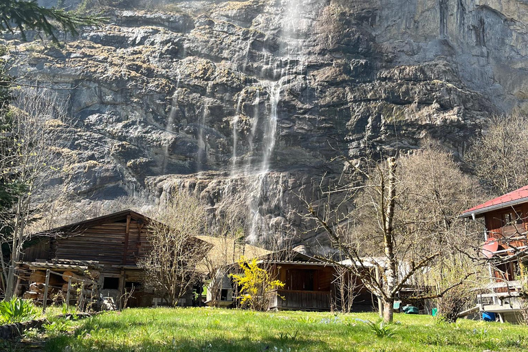 Von Basel aus: Private Tour zu den Alpen, Wasserfällen und Seen