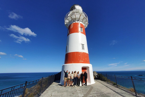 Neuseeland: Geführte 43-tägige Nordinsel Tour mit Camping