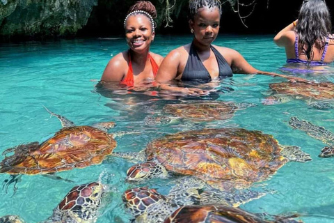ZANZIBAR: Sea Turtles Swimming, Location Nungwi or Kizimkazi Salaam Cave Feeding & Swimming with and Sea Turtles