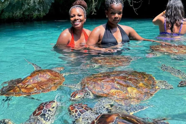 ZANZIBAR: Sea Turtles Swimming, Location Nungwi or Kizimkazi Salaam Cave Feeding & Swimming with and Sea Turtles