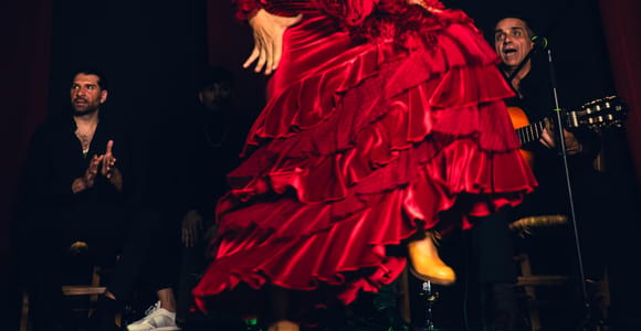 Alicante: Traditional Flamenco Show at Marbeuf Palace
