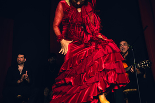 Alicante: Traditional Flamenco Show at Marbeuf Palace