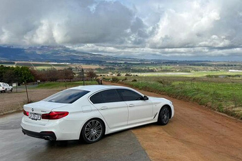 Cheetah Outreach and Award-Winning Winelands Full Day Tour