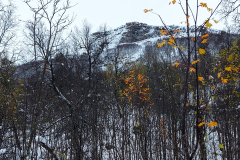 Tromsø Street to Wilderness: Guided Snowshoe Hike