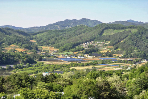 Chuncheon: Korean Rural Culture & Farm Tour
