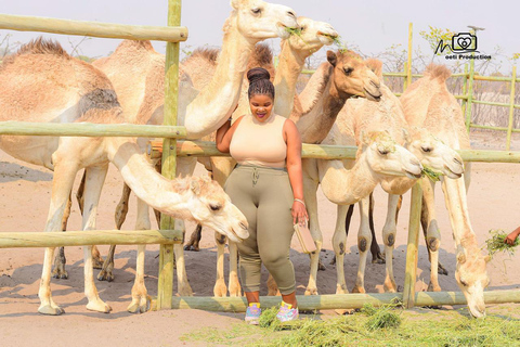 Maun, Botsuana: Safari Camel AdventureMaun, Botsuana: Aventura en safari en camello