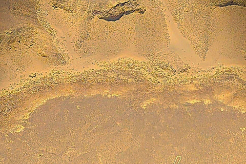 Lima: One Night at Huacachina Oasis - Nazca Lines - Buggy Tour - Paracas 2 Days Lima: A Night Oasis Huacachina-Nazca Lines-Buggy Tour-Paracas 2 Days