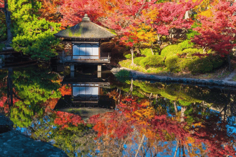 Osaka/Kyoto: Mount Koya &amp; Wakayama Privat dagsutflykt med guideRundresa från Osaka