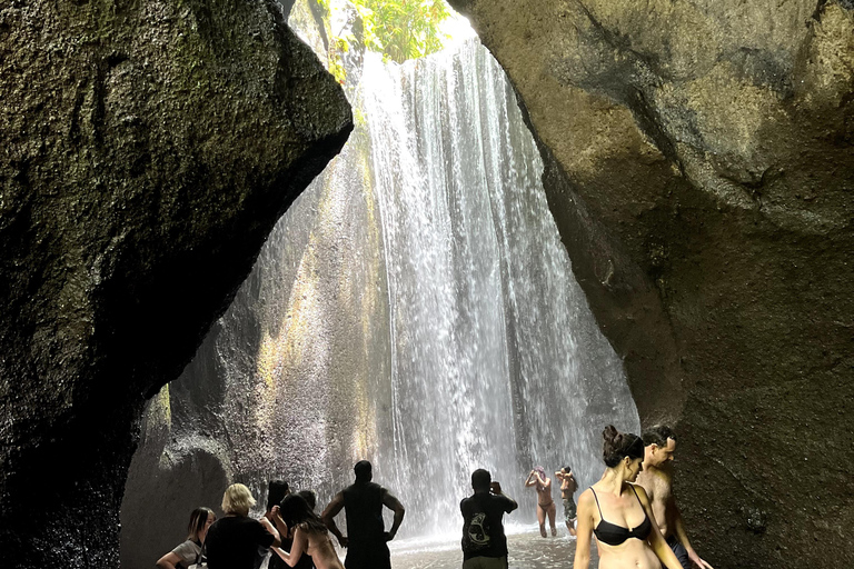 Discover Awesome Hidden Gems waterfalls Tour in Ubud Private Group with English Speaking Guide Tour