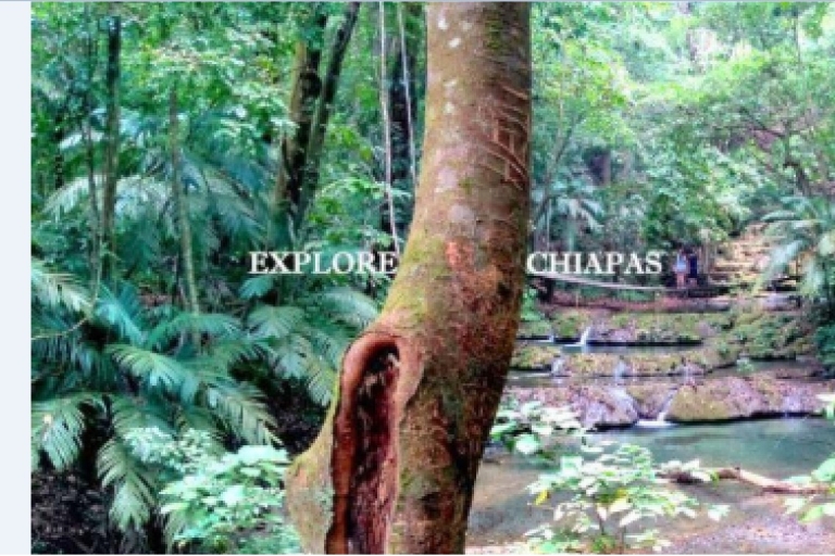 Chiapas: 5-day private tour