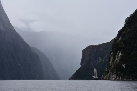 Excursión privada guiada de un día por Milford Sound desde Te Anau(Crucero enExcursión Privada de Día Completo a Milford desde Te Anau