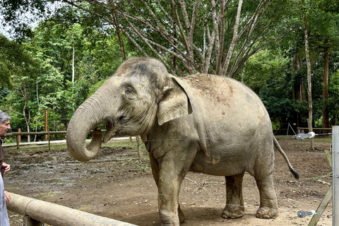 From Kuala Lumpur: Kuala Gandah Elephant Sanctuary Day Trip Shared Tour at Meeting Point Options