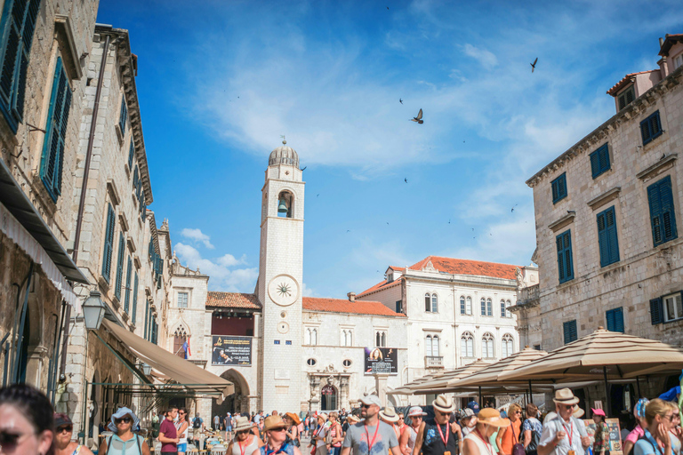 Dubrovnik: Old Town Private Walking Tour