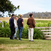 Hobart's Hop-on Hop-off Wine Tour - Coal River Region