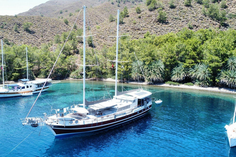 Fethiye to Bodrum: 7-Night Premium Gulet Cruise with A/C