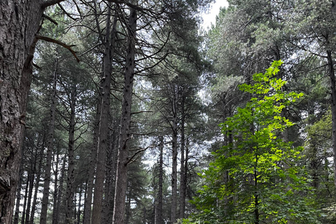 Motta Camastra: Tour in quad delle Gole Alcantara e dell'Etna