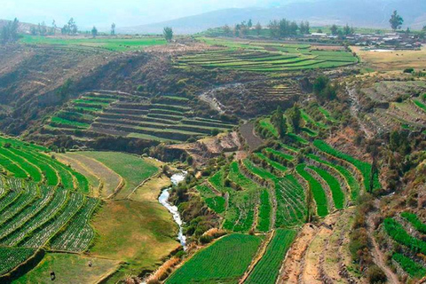 Explore the Loncco Route: Full Day Excursion from Arequipa