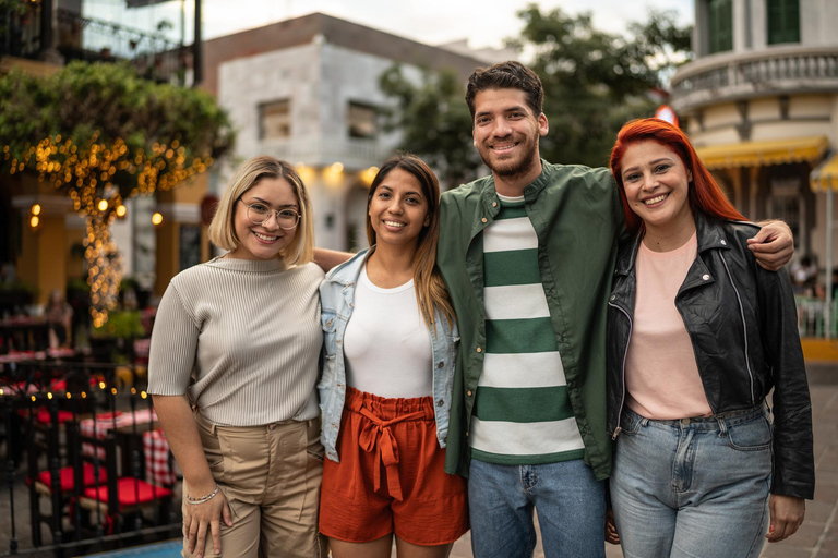 Descubre Dublín en un tour privado a pie por NavidadTour guiado en español