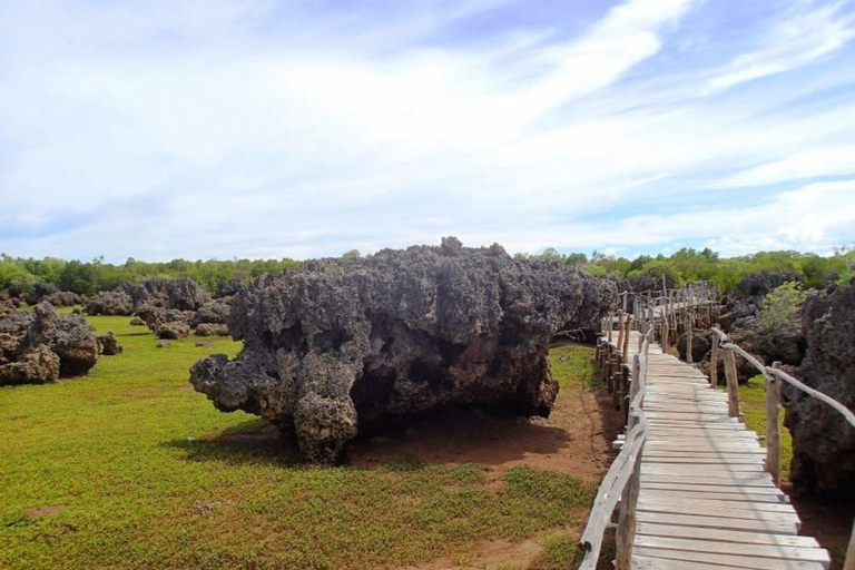 Day Trip: Kisite Dolphin Safari & Wasini Island with Lunch From Diani: Wasini Island Tour with Snorkeling and Lunch