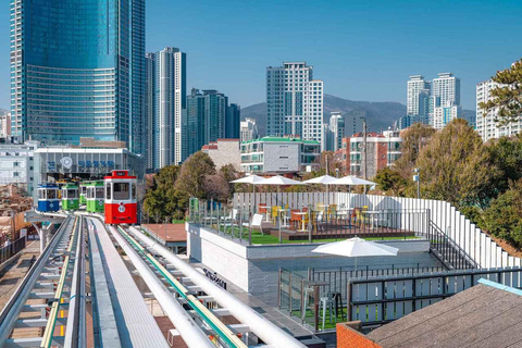 (Guaranteed Return) Busan City Tour for Ulsan Cruise Guests