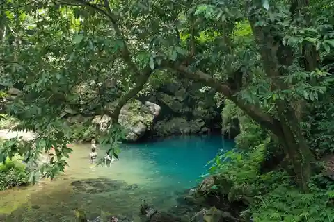 Paradijsgrot en Phong Nha Grot Dagtrip