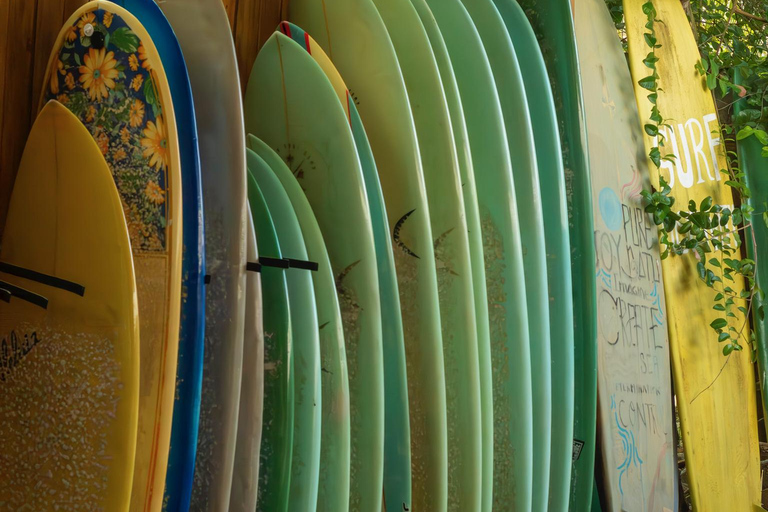 Bahia Surf Camp Day Pass with Surf Lesson & Meal included