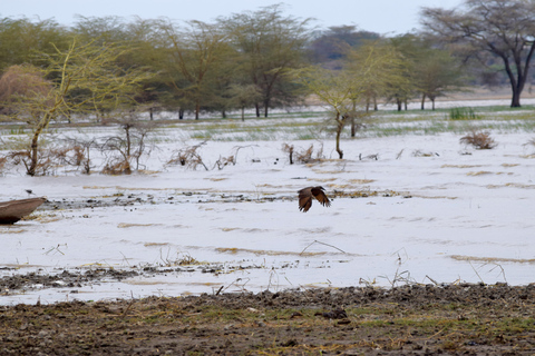 Mto wa Mbu: Waterfall, Maasai Boma, Village, & Balaa Hill Mto wa Mbu Tour & Canoe Ride on Lake Manyara