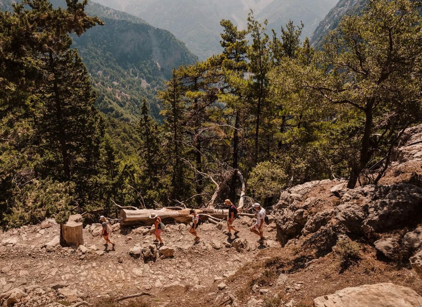 Fra Chania: Heldagsudflugt i Samaria-kløften med guide