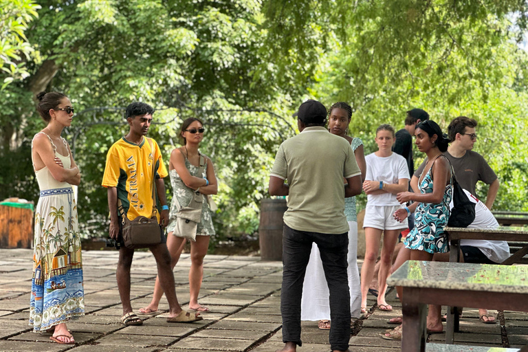 Zanzibar: Stone Town, Spice Farm,Prison Island with Lunch Shared Group Tour Without Prison Island Entry Fees