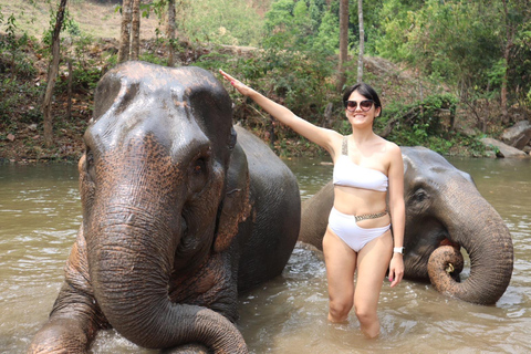 Chiang Mai 2-Day: Good Morning Elephant & Overnight Homestay
