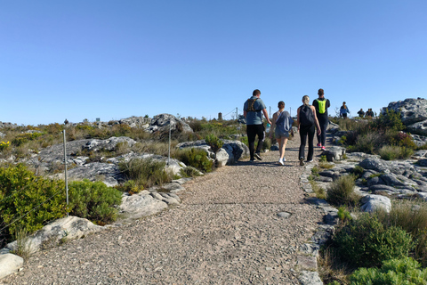Cape Town: Table Mountain, Robben Island, & Dinner Tour