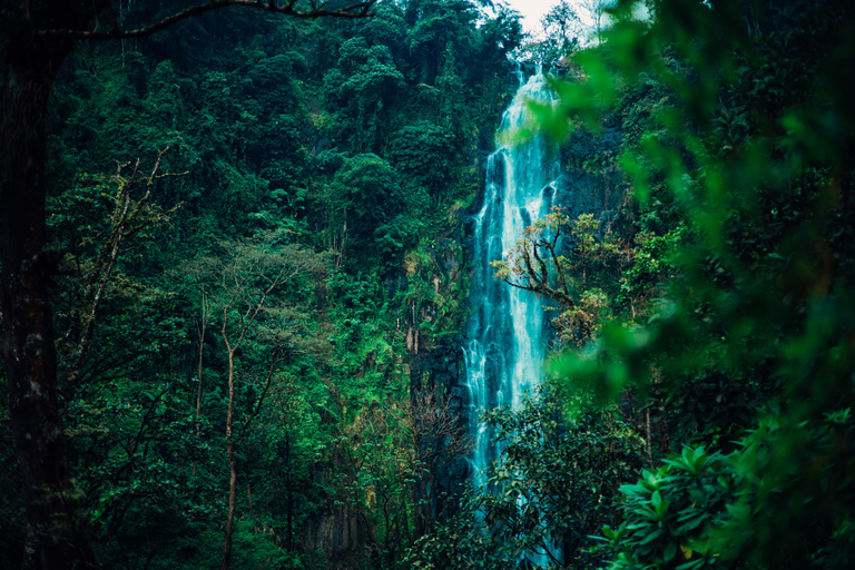 Materuni Waterfall and Coffee tour