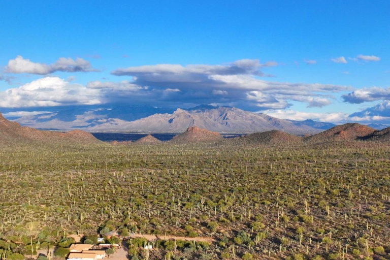 Tucson: Mt Lemmon & Saguaro NP Wycieczka z własnym przewodnikiemTucson: wycieczka z przewodnikiem na górę Lemmon i Saguaro NP