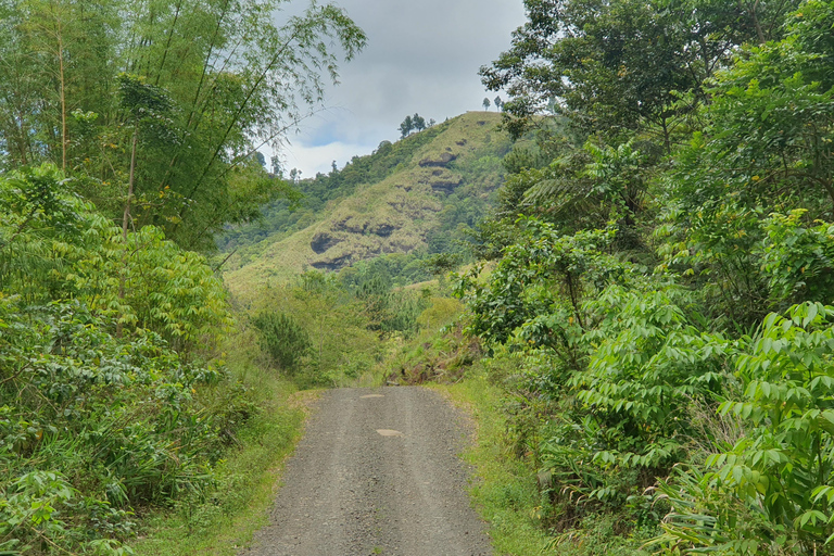 Lautoka: Abaca Waterfall Hike and Swim Day Trip