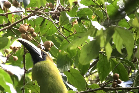 Carara National Park: Best Tour Carara National Park-One Day