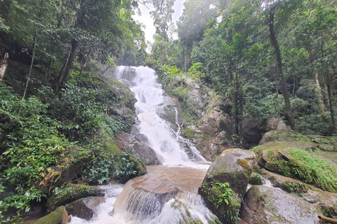 Chiang Rai: White &amp; Blue Temples, Waterfall &amp; Pagoda Tour