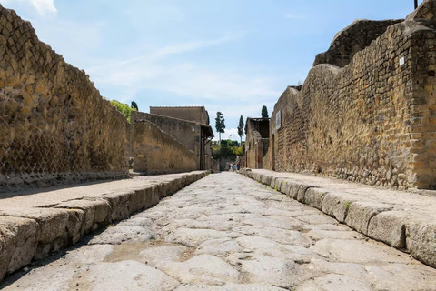 Rome: Vesuvius, Pompeii or Herculaneum by High-speed Train Pompeii Spanish Guided Tour & Vesuvio Entry ticket