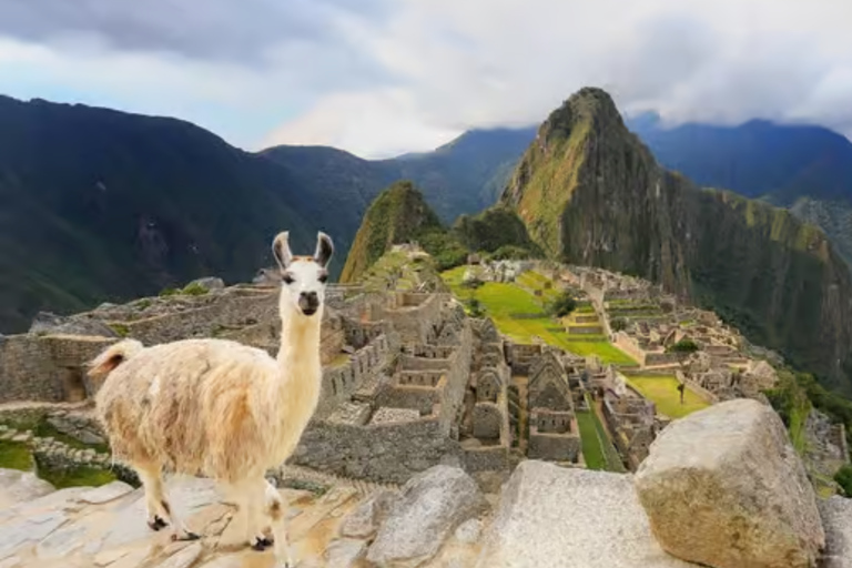 From Cusco: Machu Picchu 1-Day Tour with Entrance Circuit 3