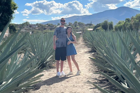 Hierve el Agua y Destilería de Mezcal (Grupos reducidos)